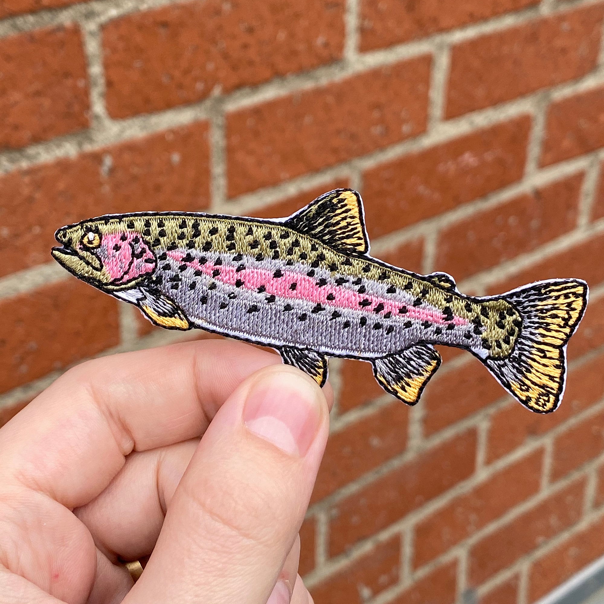 Trout Fish Patch Set of 5 | Brown, Rainbow x2, Brook, Golden | Quality Embroidered Iron On Patches