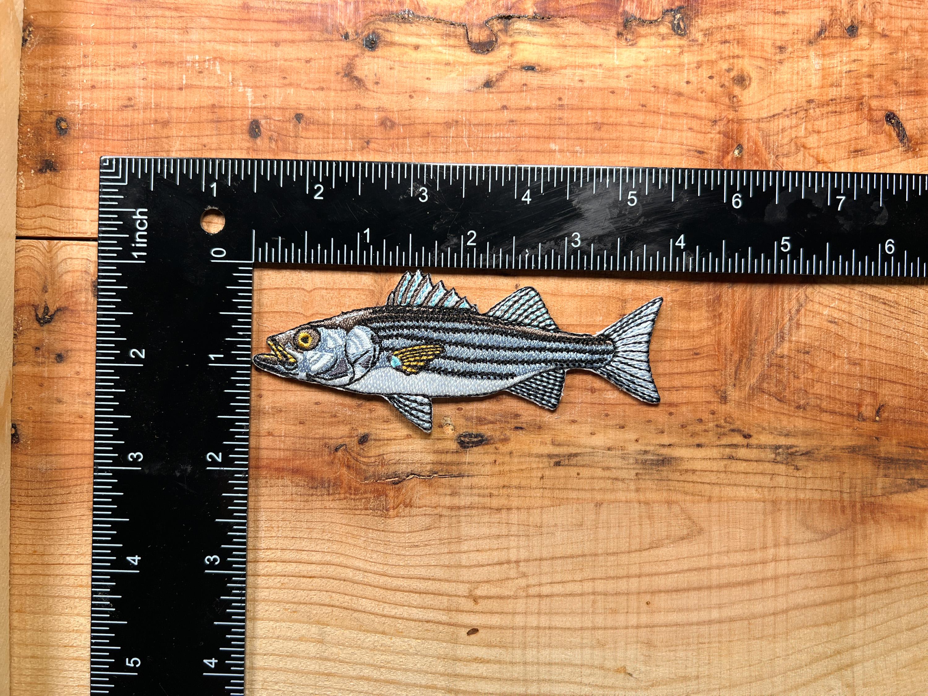 Striped Bass Embroidered Patch | 4 Inch Iron On Fishing Patch for Hats, Jackets & Gear